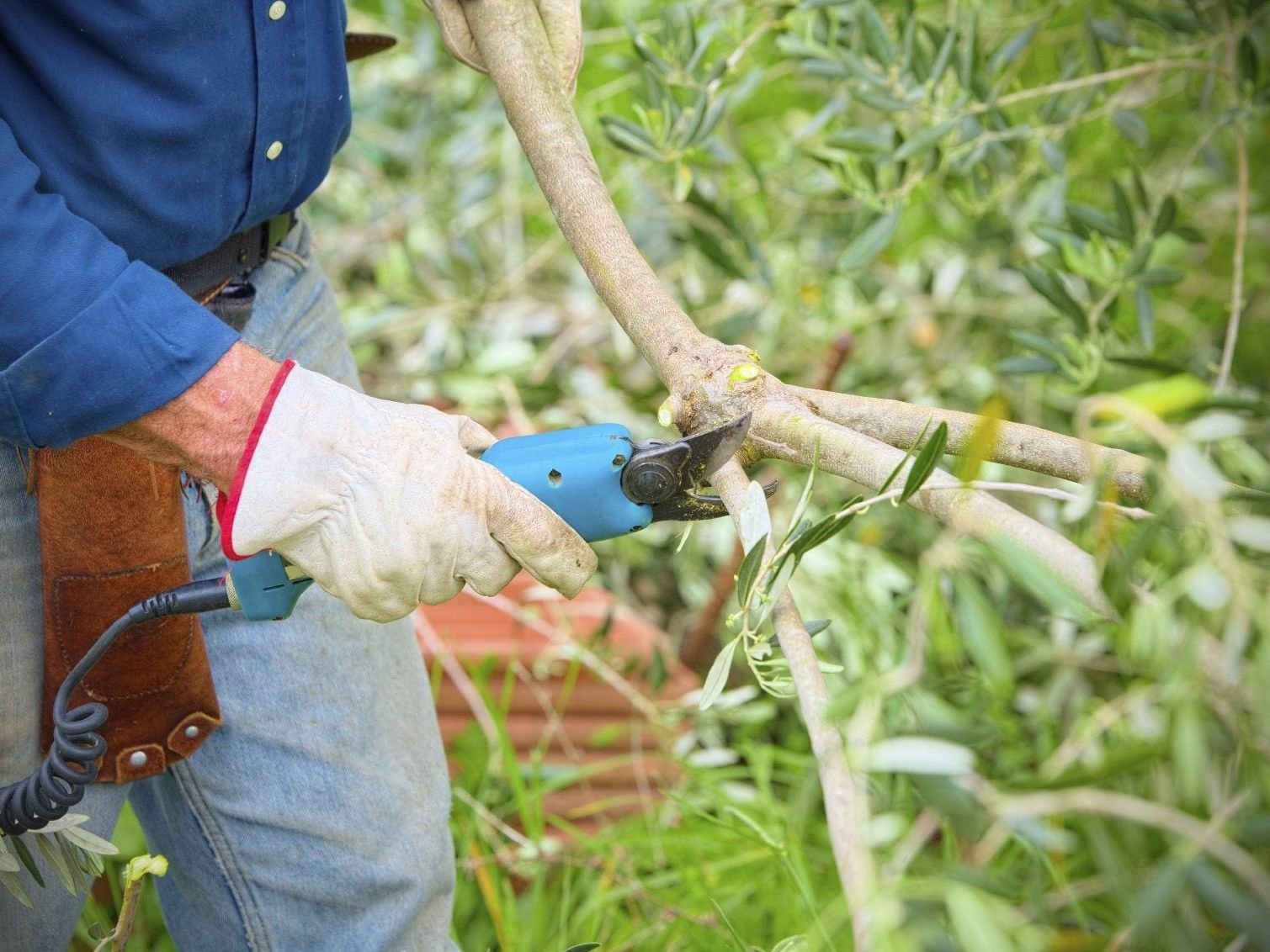 DdubTxMJuR9ZFUQ3GT6ea4